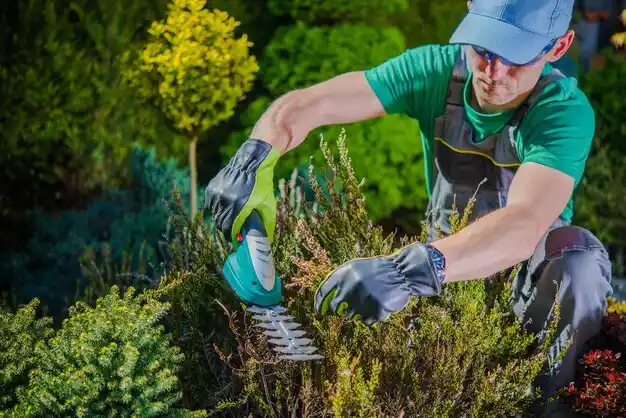 landscaping services Woods Hole